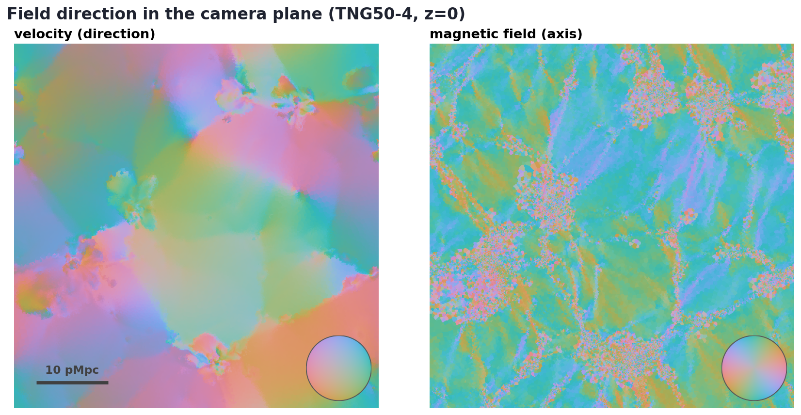 The same camera plane colored by field direction: velocity (left) forms large coherent patches, the magnetic field axis (right) fragments on much smaller scales.
