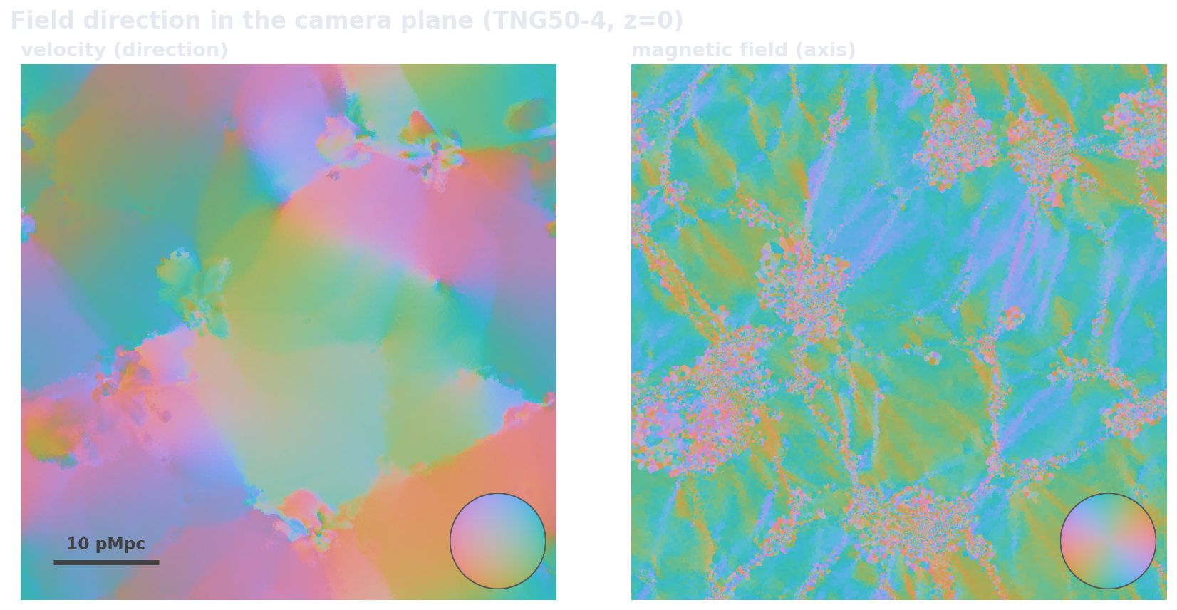 The same camera plane colored by field direction: velocity (left) forms large coherent patches, the magnetic field axis (right) fragments on much smaller scales.
