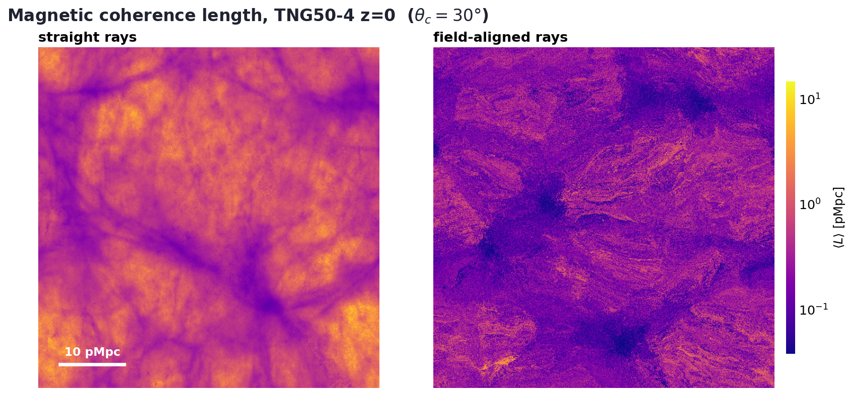 Per-pixel mean magnetic coherence length (interior segments only) on the TNG50-4 box at z=0, for straight sight lines (left) and field-aligned rays that follow B (right).