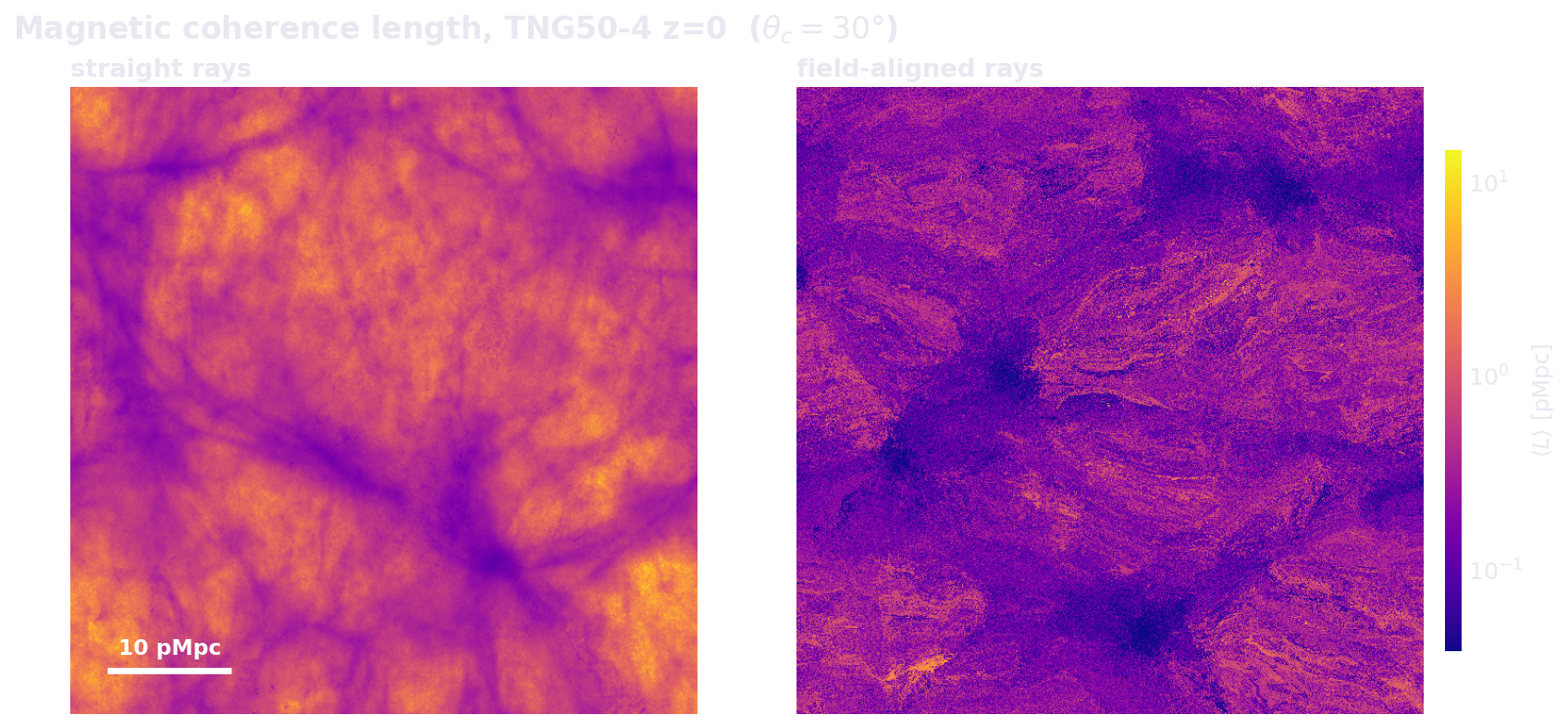 Per-pixel mean magnetic coherence length (interior segments only) on the TNG50-4 box at z=0, for straight sight lines (left) and field-aligned rays that follow B (right).