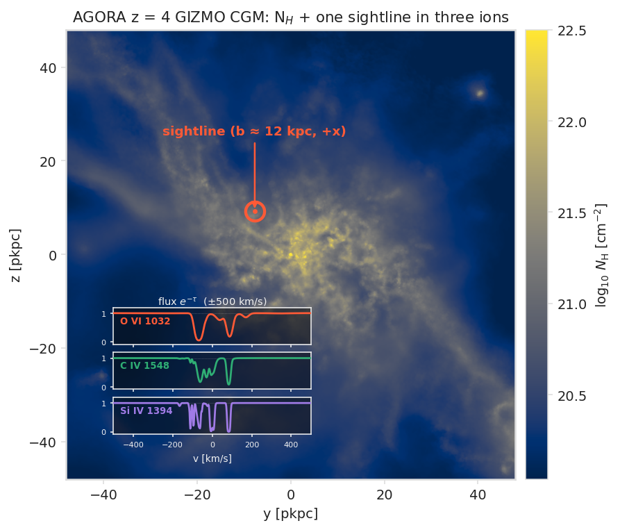 A single sightline through the AGORA z = 4 GIZMO CGM, in three ions. The panel is the halo's total-hydrogen column density (N_H projection along +x); the marker is one off-centre sightline through the CGM (impact parameter b ≈ 12 kpc), and the inset shows that sightline's transmitted flux e^−τ in three stacked panels — O VI, C IV and Si IV (±500 km/s about each line) — the same gas seen in three ions, each with its own kinematic structure.