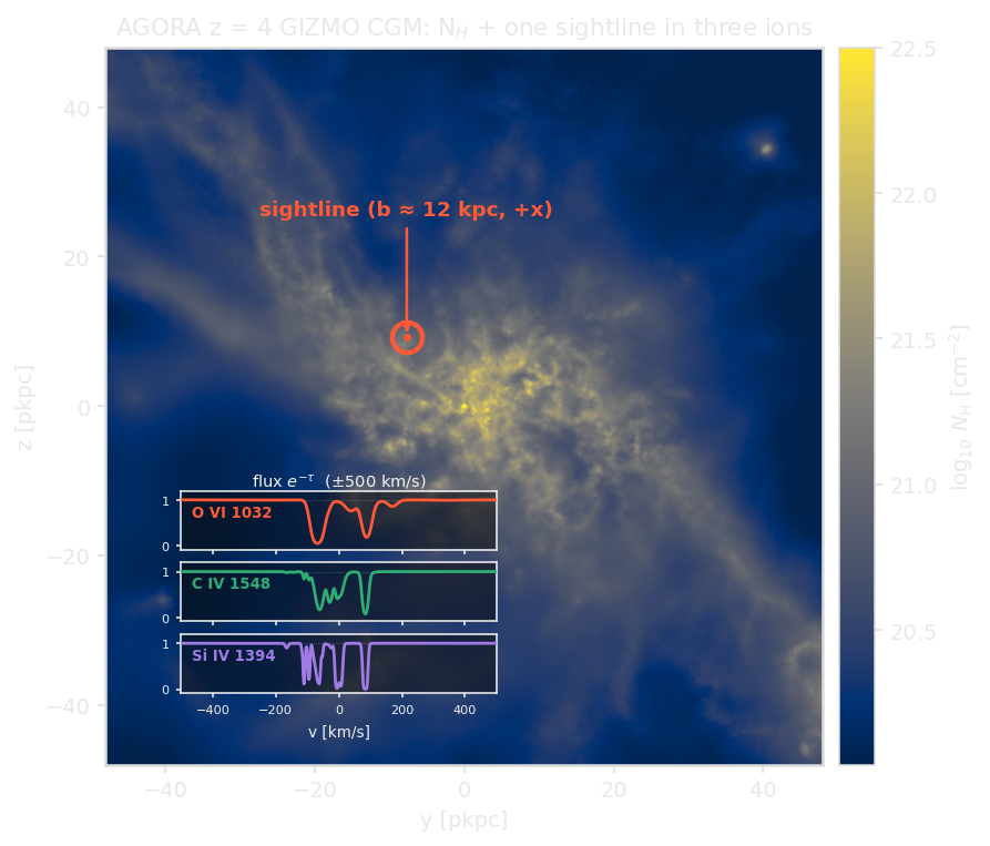 A single sightline through the AGORA z = 4 GIZMO CGM, in three ions. The panel is the halo's total-hydrogen column density (N_H projection along +x); the marker is one off-centre sightline through the CGM (impact parameter b ≈ 12 kpc), and the inset shows that sightline's transmitted flux e^−τ in three stacked panels — O VI, C IV and Si IV (±500 km/s about each line) — the same gas seen in three ions, each with its own kinematic structure.