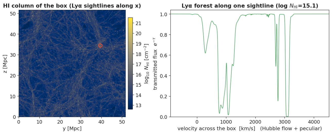 HI column-density map of the TNG50-4 box (left) and the integrated Lyα forest along one sightline (right).