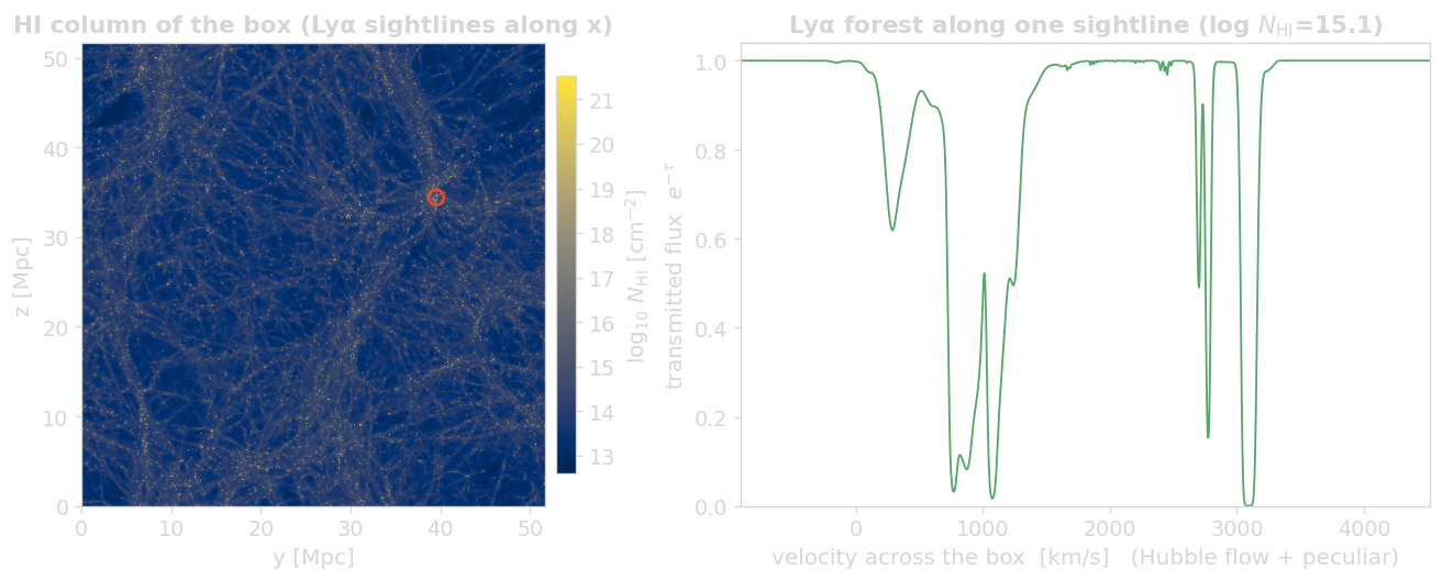 HI column-density map of the TNG50-4 box (left) and the integrated Lyα forest along one sightline (right).